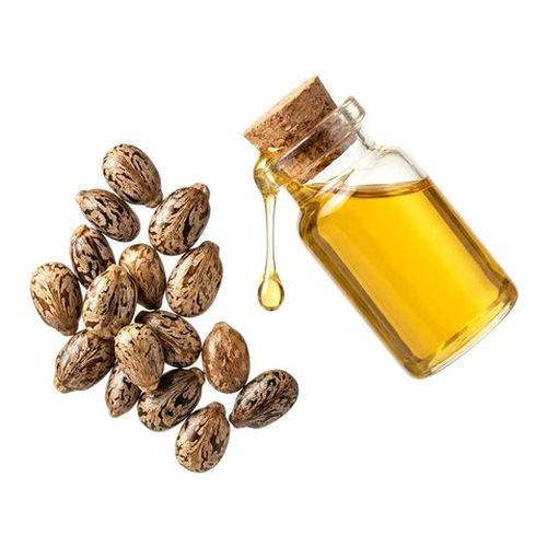 Sementes de mamona e óleo de rícino